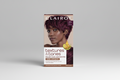 Clairol Textures & Tones 4RV – Berry Burgundy Permanent Hair Color